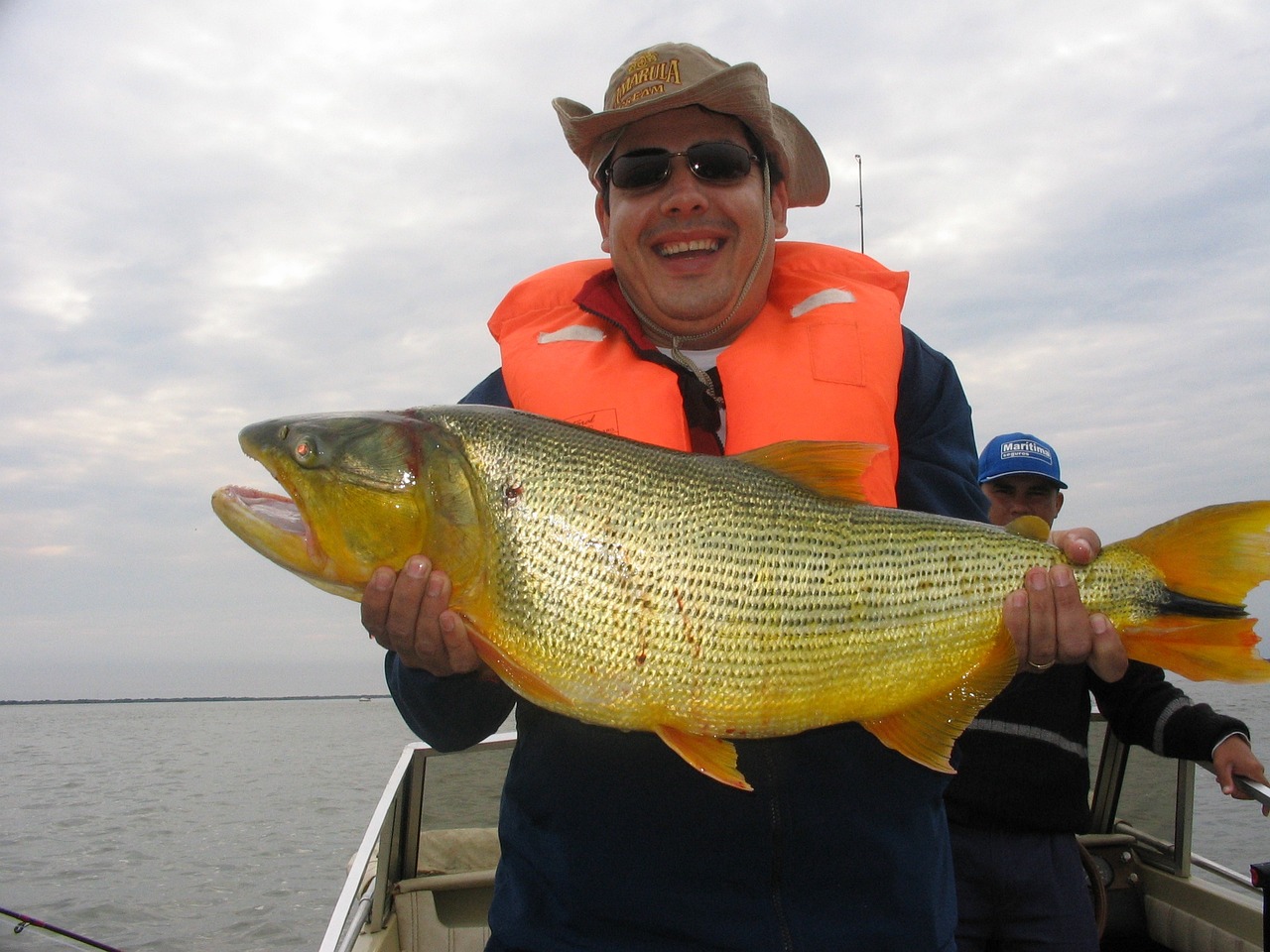 bluefish藍(lán)魚，藍(lán)魚什么意思