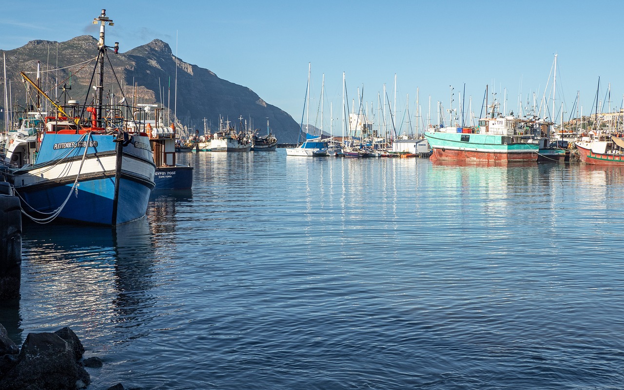 藍(lán)綠色的海魚(yú)有哪些（藍(lán)色的可食用海魚(yú)） 造景/裝飾 第1張