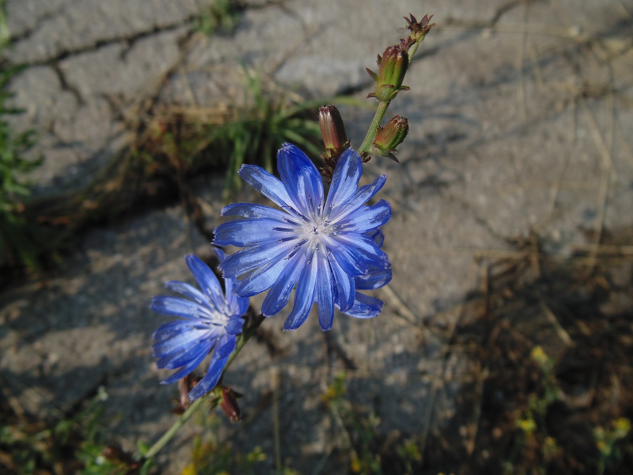 中衛(wèi)市小強花草魚樂園（中衛(wèi)市小強花草魚樂園電話）