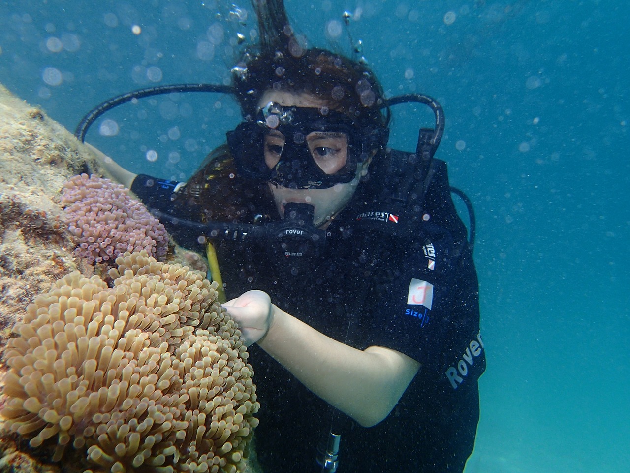 寧波觀賞魚打包袋子多少錢一噸（寧波觀賞魚打包袋子多少錢一噸?。?養(yǎng)魚知識 第5張