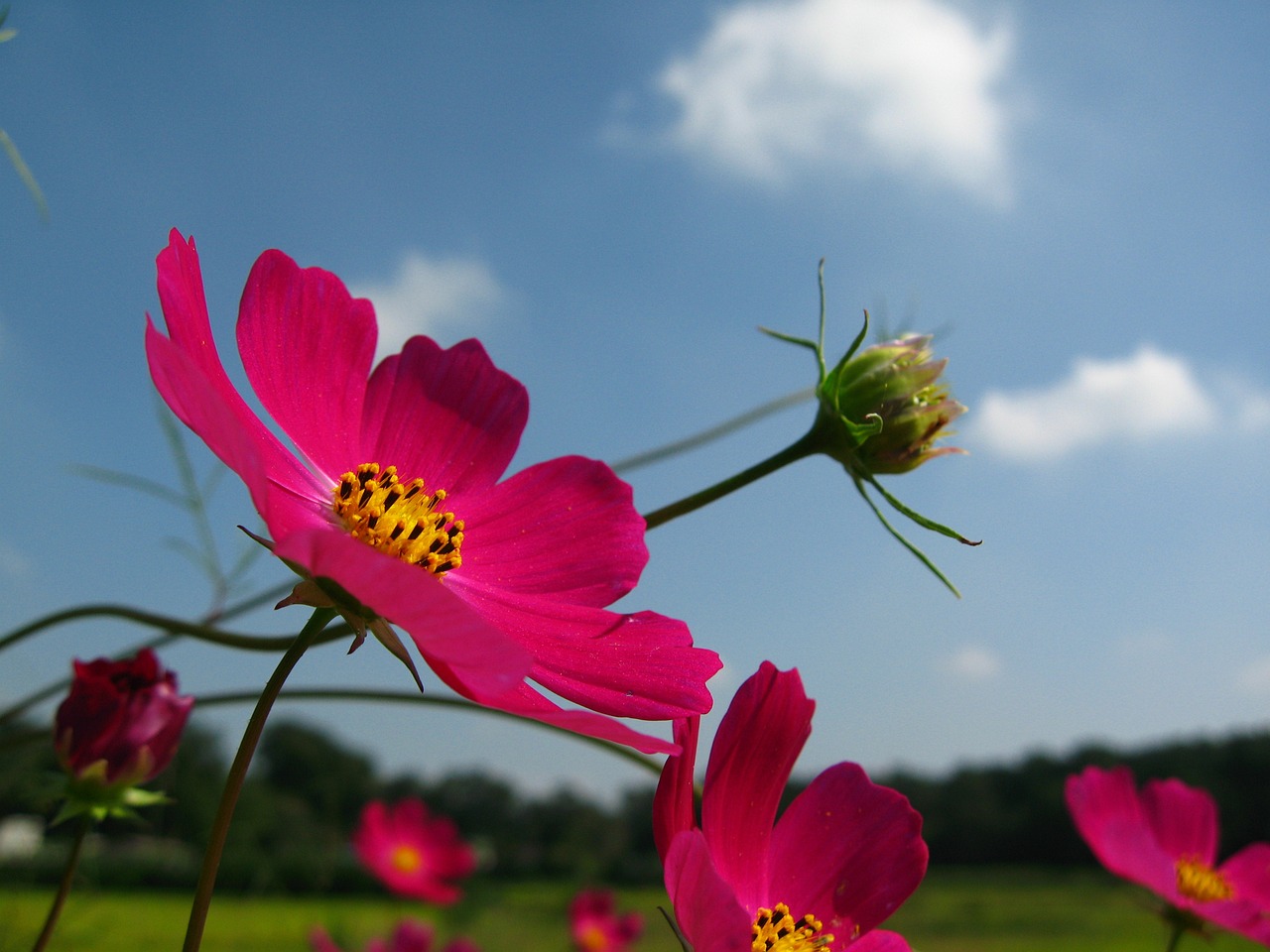 綦江區(qū)徐?；ɑ芙?jīng)營部（綦江區(qū)徐?；ɑ芙?jīng)營部地址）