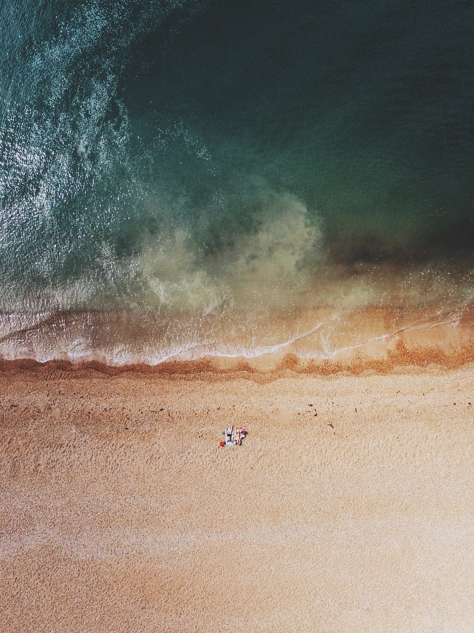 海洋生態(tài)魚(yú)缸圖片欣賞大全（魚(yú)缸海景圖）