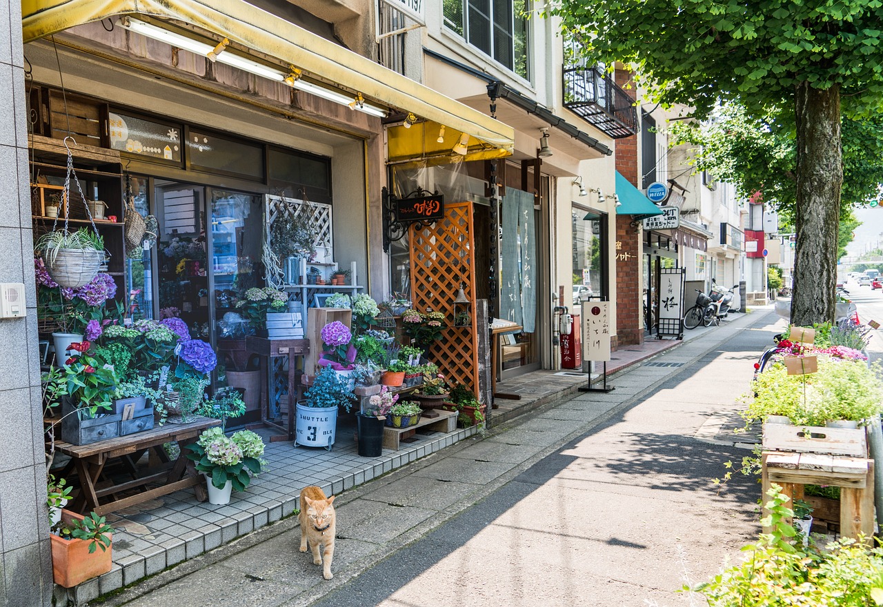 晉城市城區(qū)迷你魚缸鮮花店（晉城市城區(qū)迷你魚缸鮮花店地址）