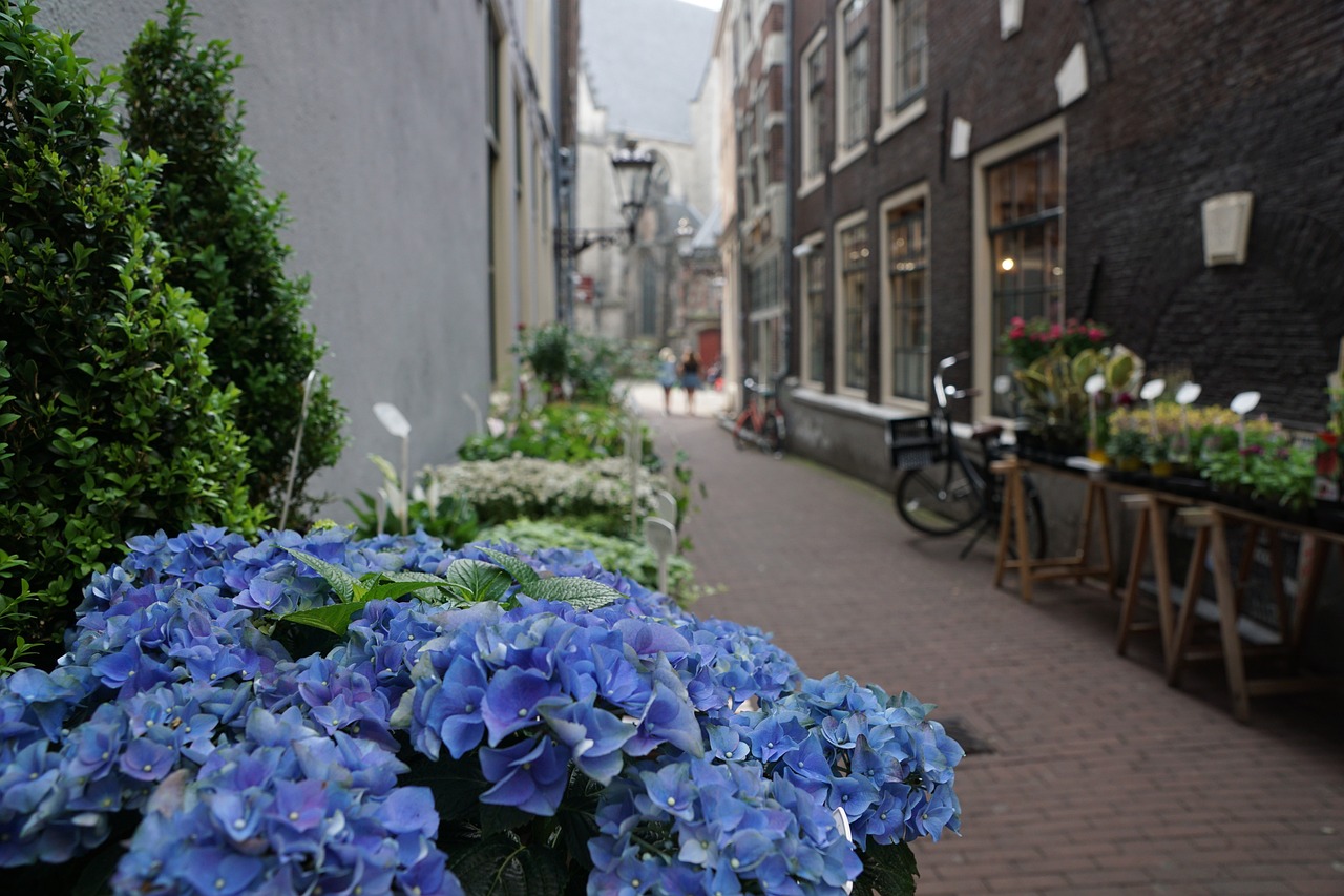 晉城市城區(qū)迷你魚缸鮮花店（晉城市城區(qū)迷你魚缸鮮花店地址） 全國水族館企業(yè)名錄 第4張