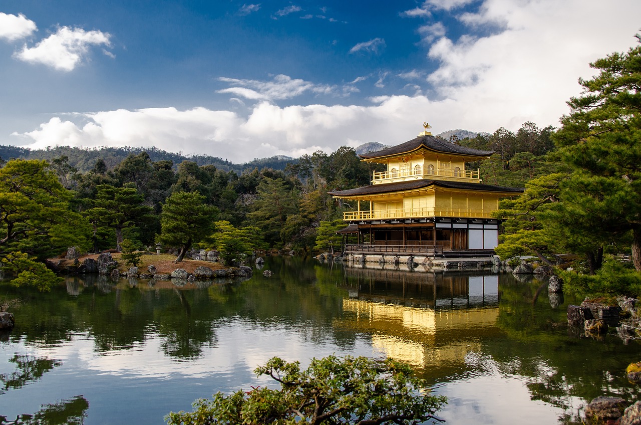 山陽(yáng)縣恒輝養(yǎng)生景館 全國(guó)水族館企業(yè)名錄 第1張