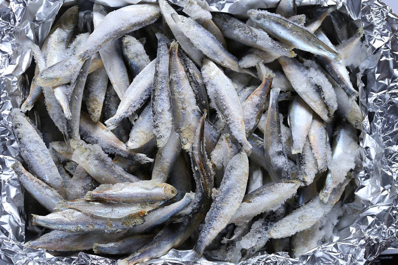 鯽魚(yú)是什么？，百度百科-鯽魚(yú)參考資料參考資料：百度百科-鯽魚(yú) 魚(yú)缸凈水劑 第2張