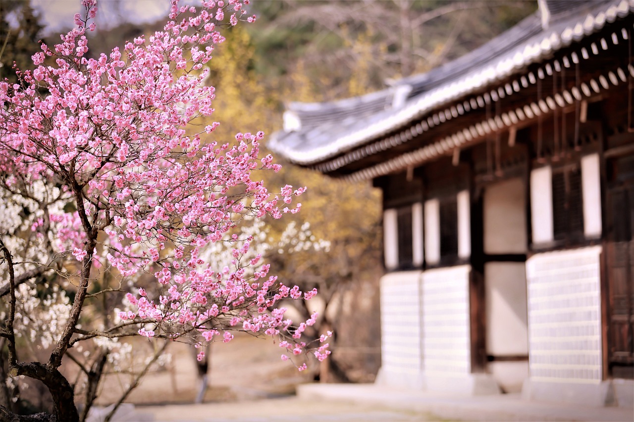 神木梅子花卉園林綠化有限公司（神木梅苑酒店預(yù)訂電話）