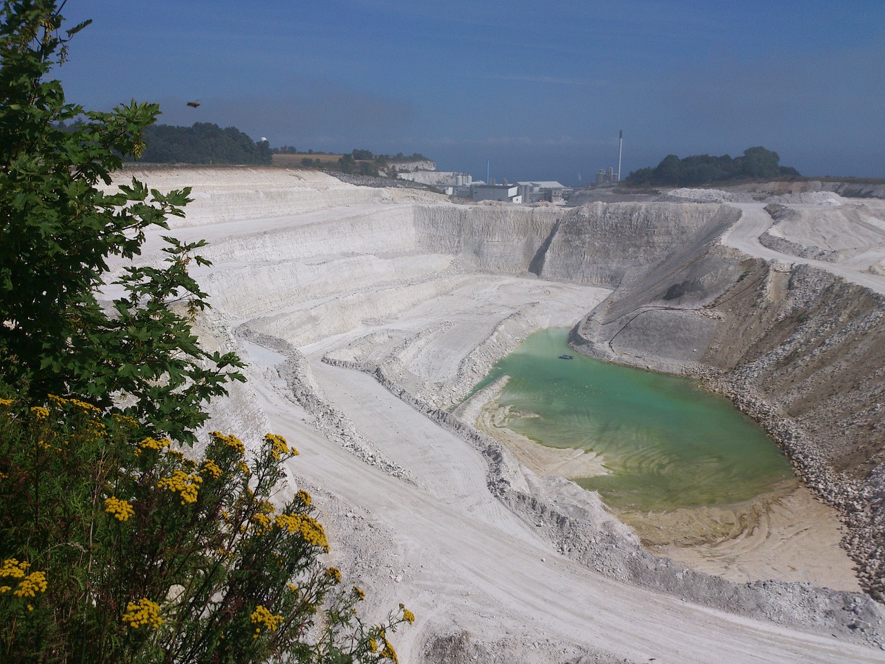 湘潭縣烏石鎮(zhèn)南方名貴草木園（湘潭縣烏石鎮(zhèn)南方名貴草木園在哪里） 全國(guó)水族館企業(yè)名錄 第1張