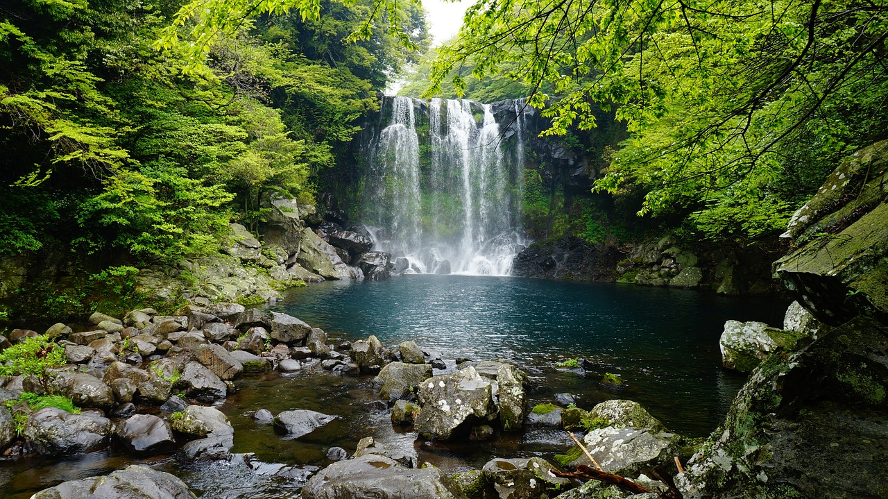 黃山觀賞魚市場建池記