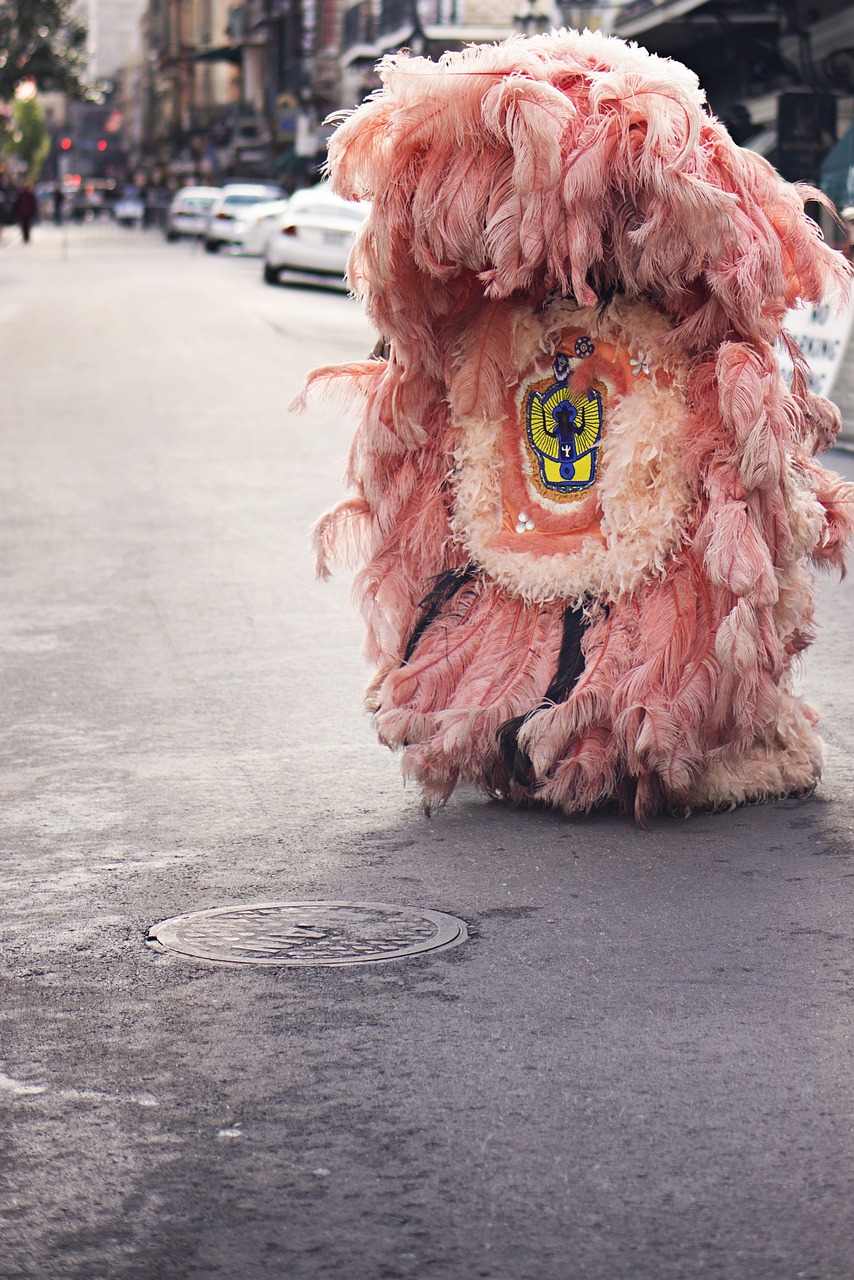 埃及神仙老頭魚圖片大全集欣賞（埃及魚圖片大全大圖） 埃及神仙魚 第1張