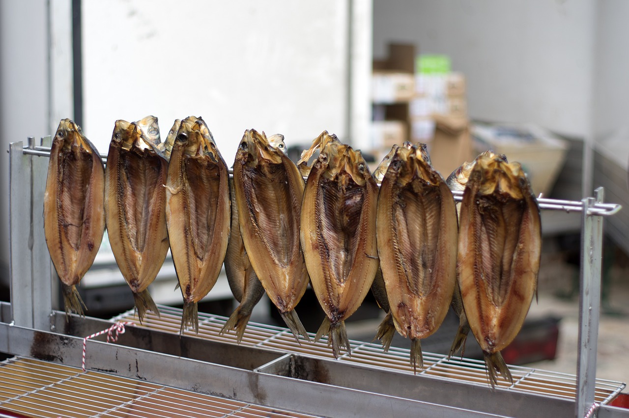 觀(guān)賞魚(yú)飼料釣魚(yú)好用嗎（觀(guān)賞魚(yú)飼料做搭配的請(qǐng)專(zhuān)家講解）