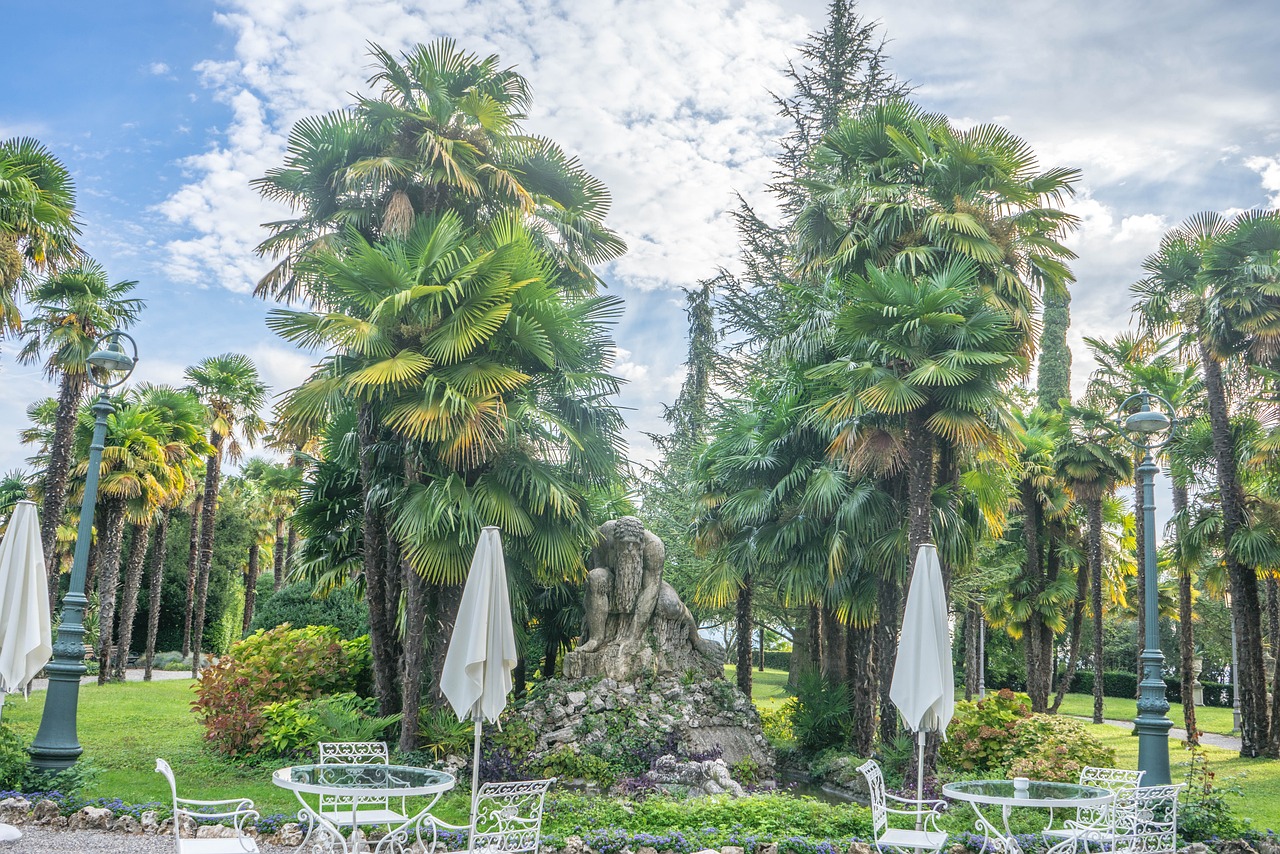 桂林市七星區(qū)春森花木園（桂林市七星區(qū)春森花木園地址） 全國(guó)水族館企業(yè)名錄 第2張