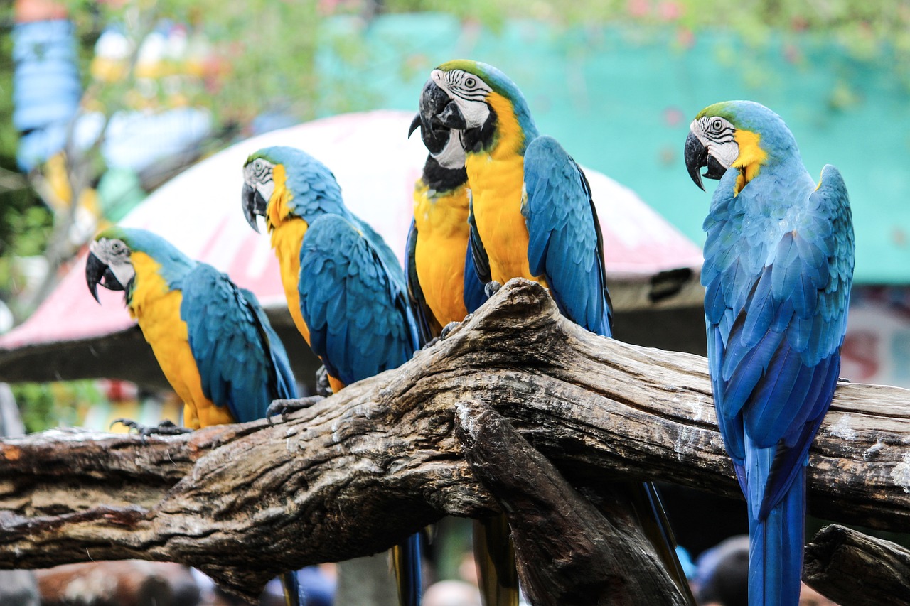 興安盟水族館打