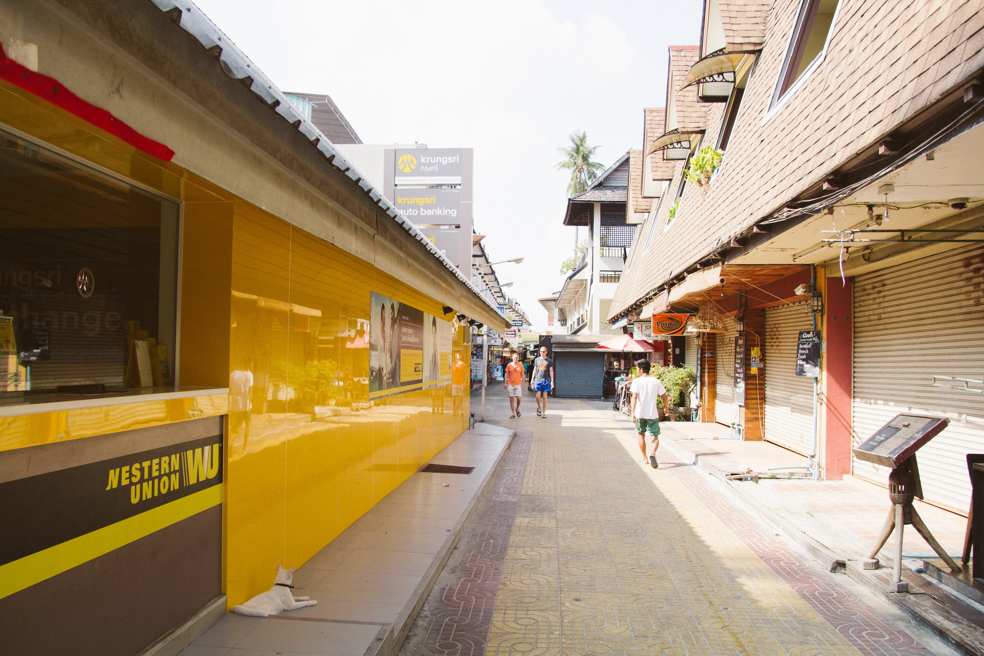 寬甸滿族自治縣城鎮(zhèn)延君觀賞魚商店（寬甸垂釣的地方） 垂釣樂園 第1張