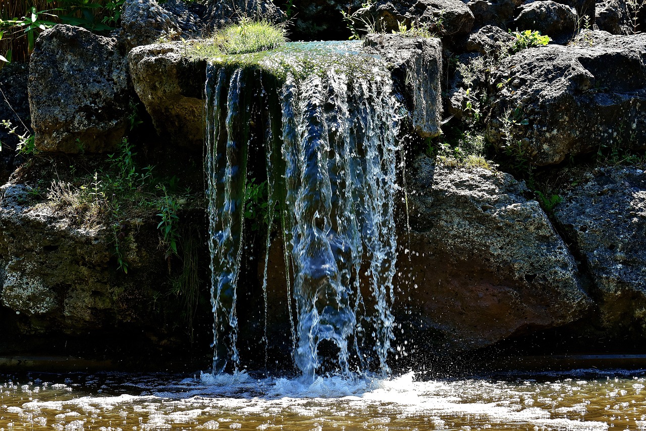 水楊梅魚缸造景注意事項(xiàng)有哪些（水楊梅魚缸造景注意事項(xiàng)） 觀賞魚 第4張