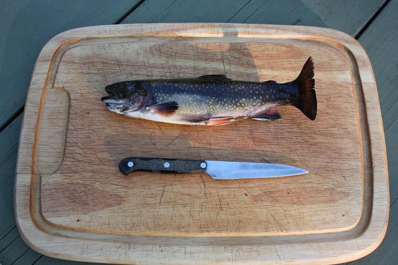 藍(lán)魔魚變黑了也不吃東西了（藍(lán)魔魚身上起白點(diǎn)）