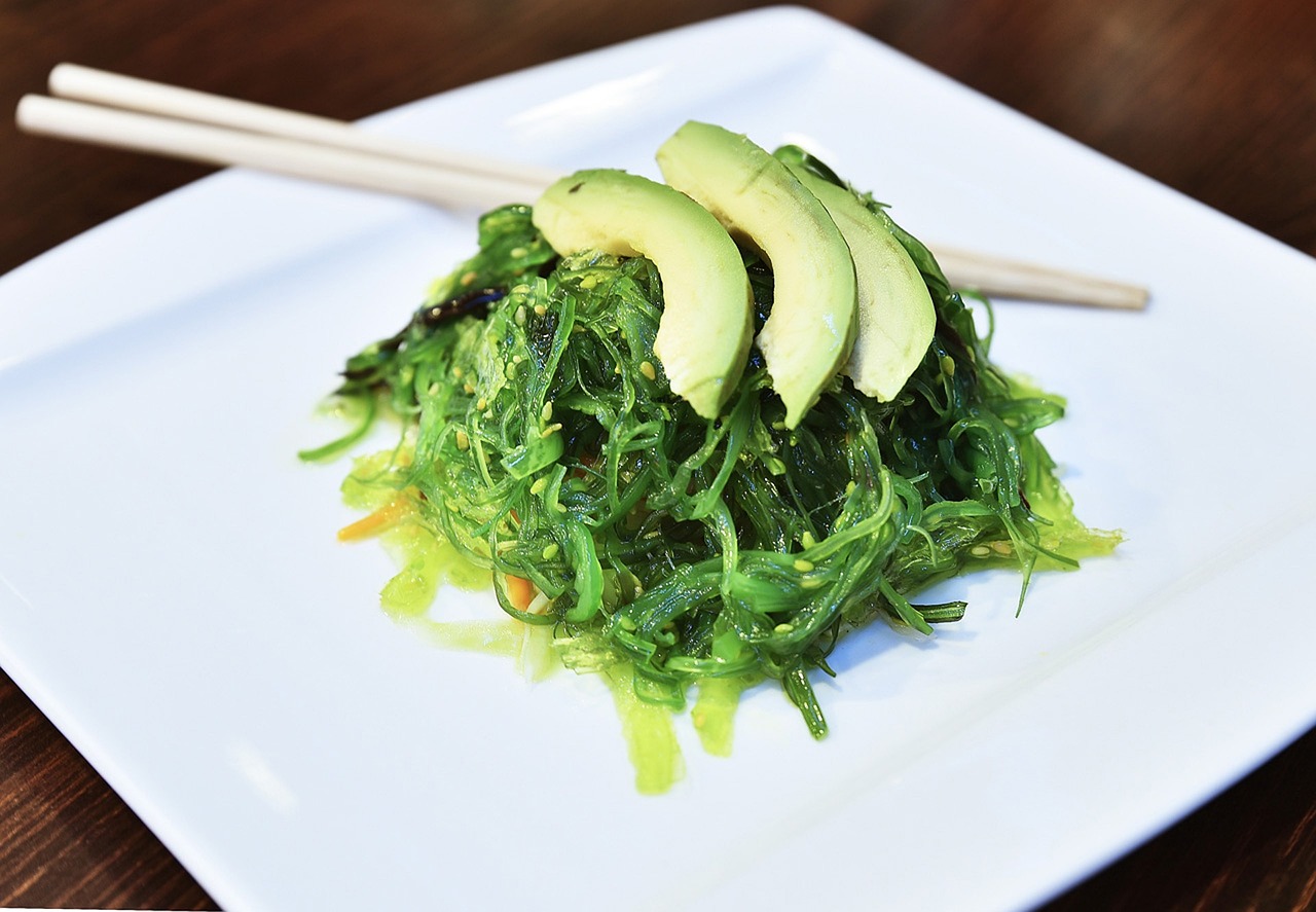 銀龍魚(yú)不吃食怎么辦銀龍魚(yú)不吃食怎么辦銀龍魚(yú)不吃食怎么辦，銀龍魚(yú)不吃東西怎么辦？