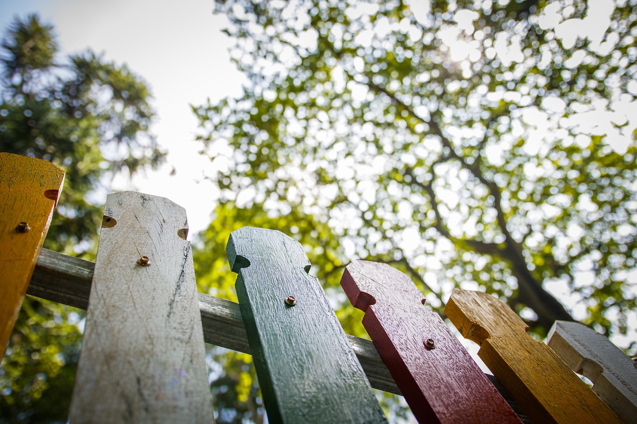 南京市雨花臺(tái)區(qū)森森園藝中心（南京森森幼兒園怎么樣?）