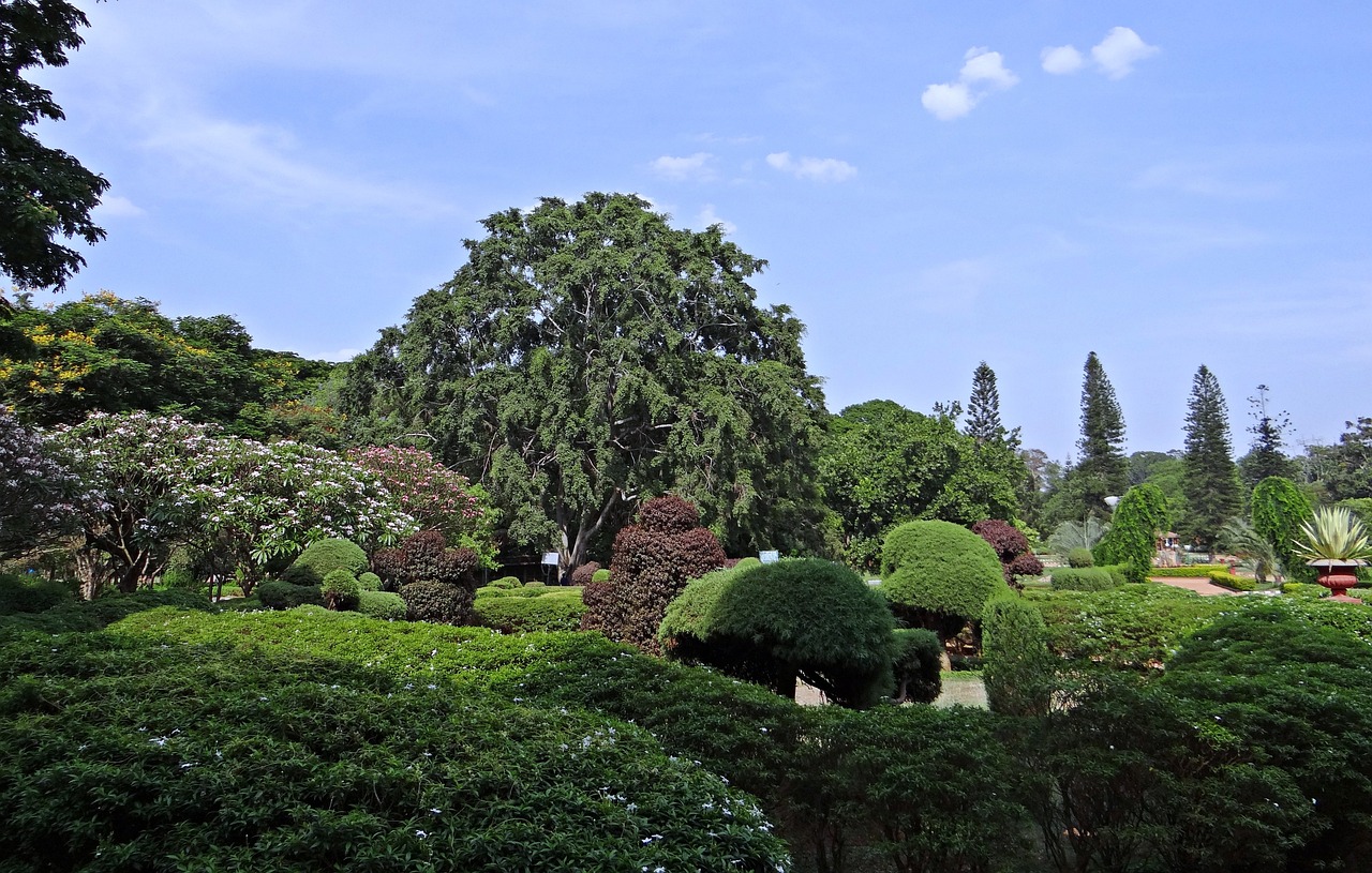 廣西和興園林綠化有限公司（廣西和興園林綠化有限公司招聘） 全國水族館企業(yè)名錄 第3張