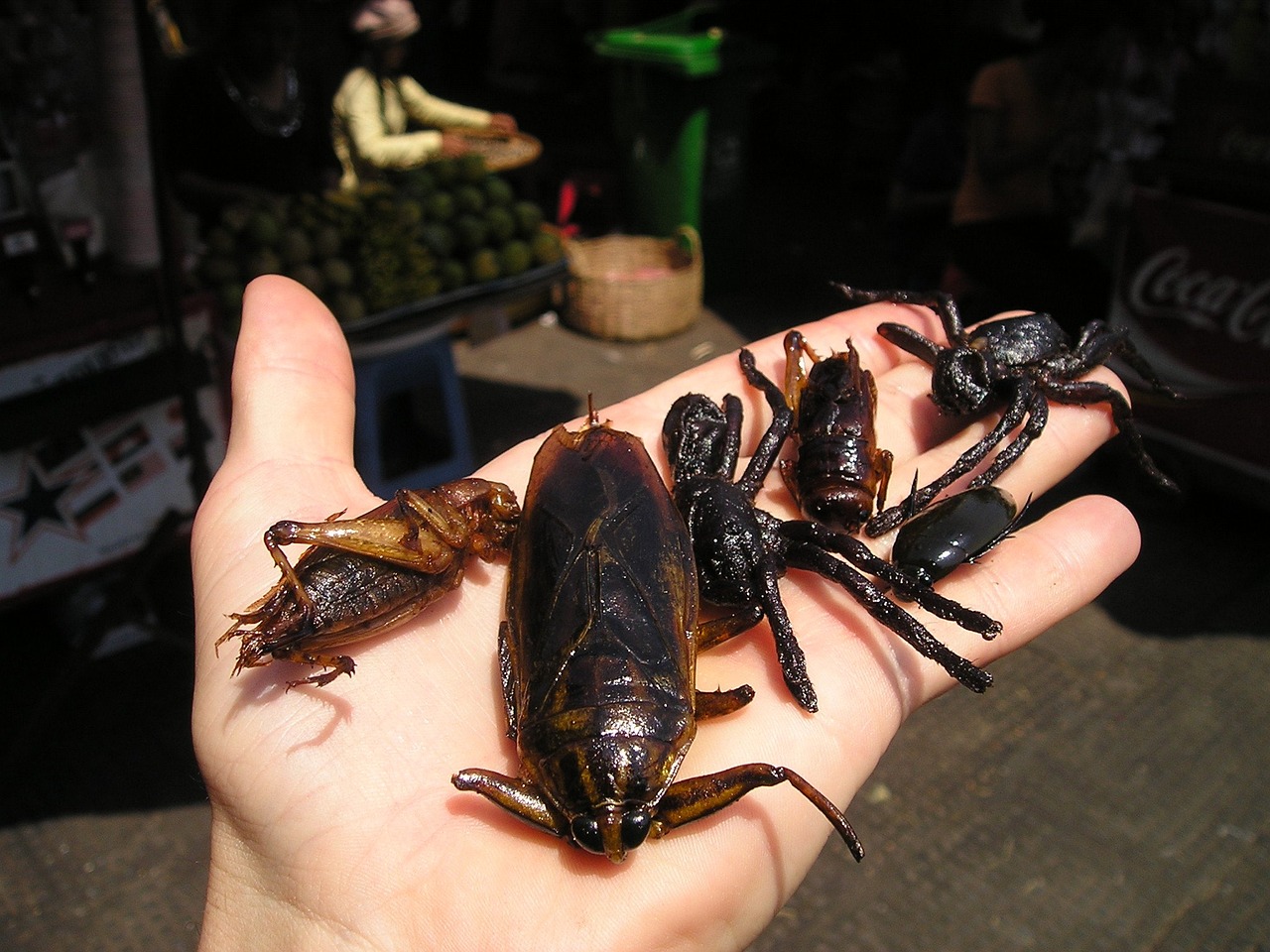 芳村花鳥蟲魚新世界營業(yè)時(shí)間