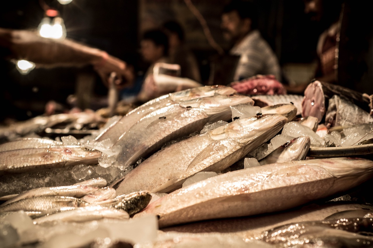 肺炎病人吃什么魚最好（肺炎患者能吃什么魚）