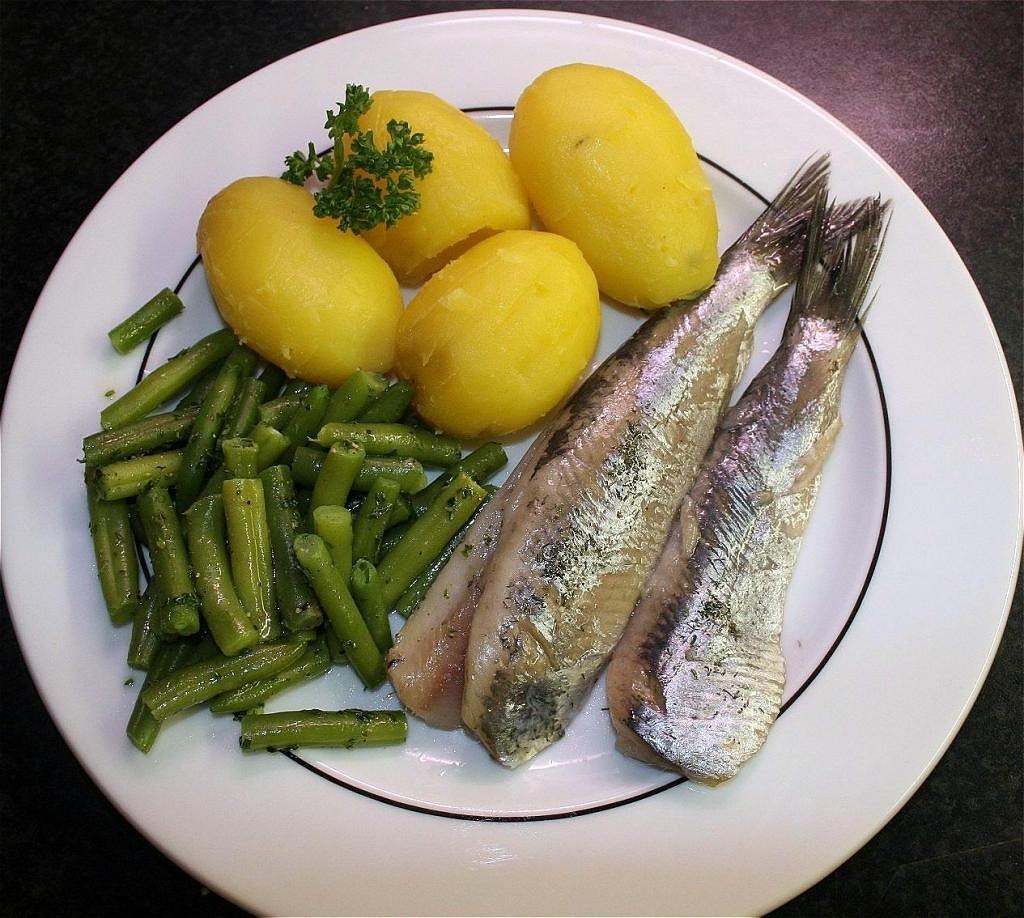 東北觀賞魚種類圖片（東北食用魚的種類） 泰龐海鰱魚 第3張