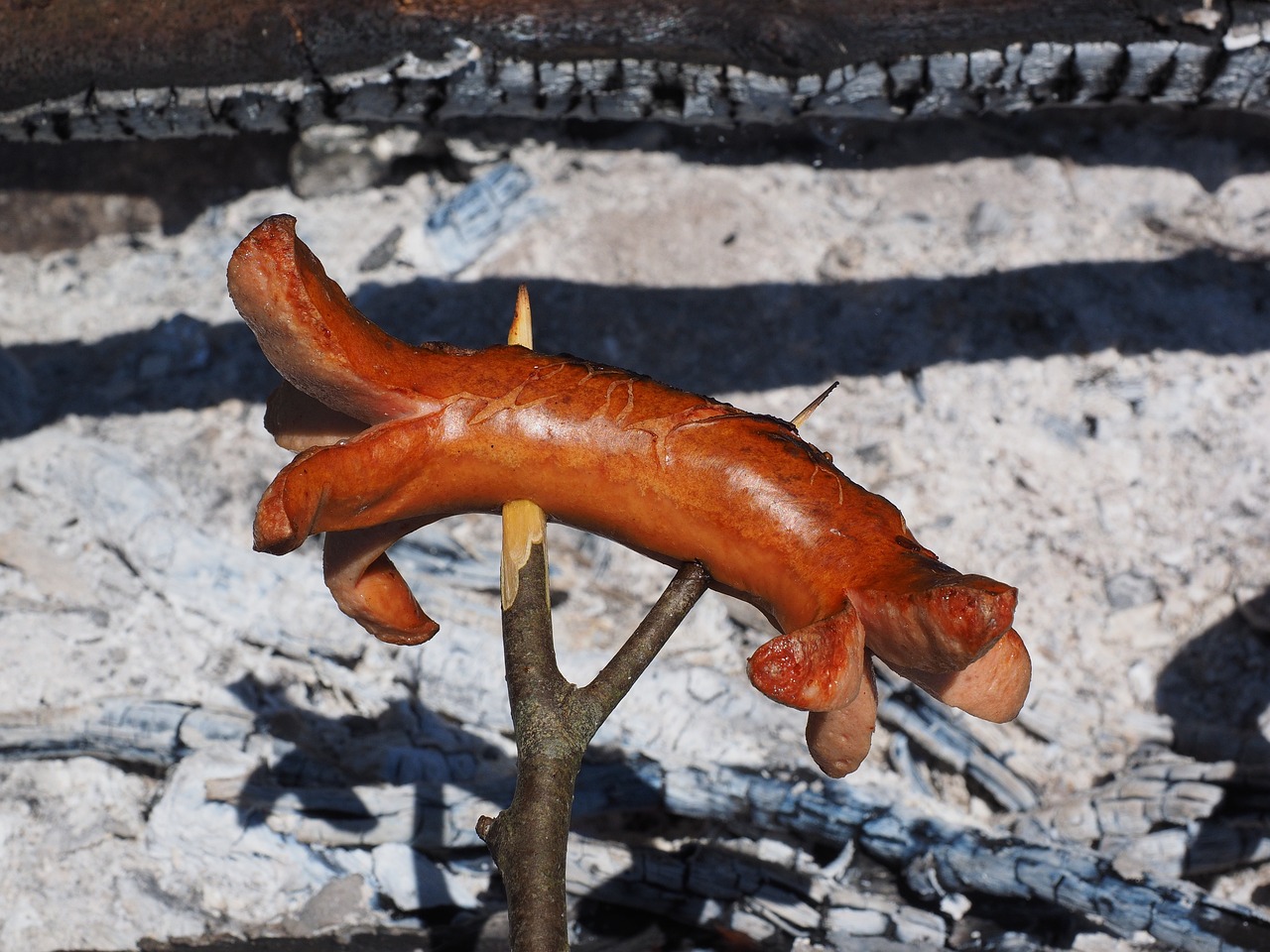 羅漢魚吃什么激素起頭快（羅漢魚怎么養(yǎng)起頭快魚食） 羅漢魚 第1張