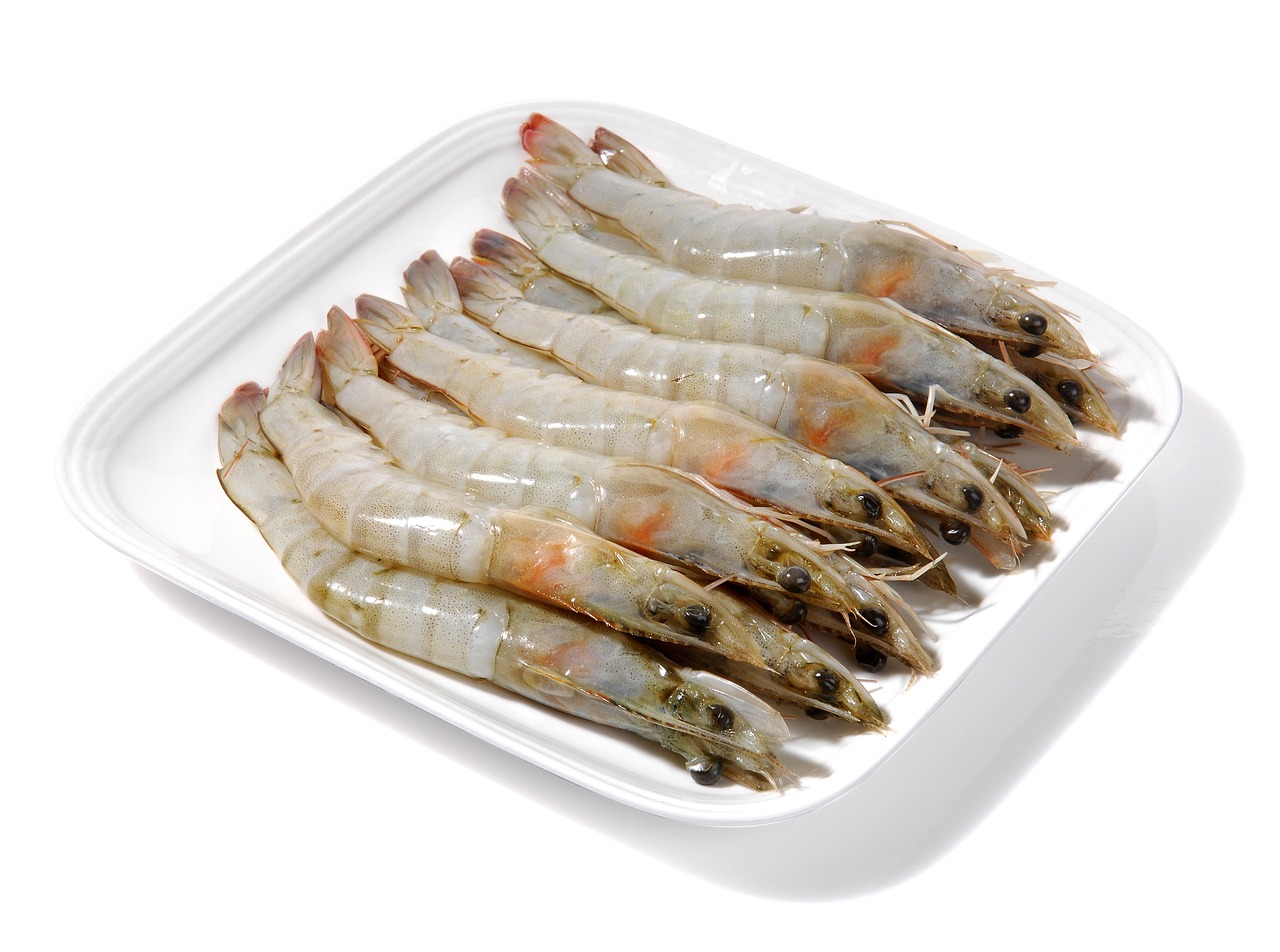 釣魚(yú)貓：釣魚(yú)貓頭像 垂釣樂(lè)園 第2張