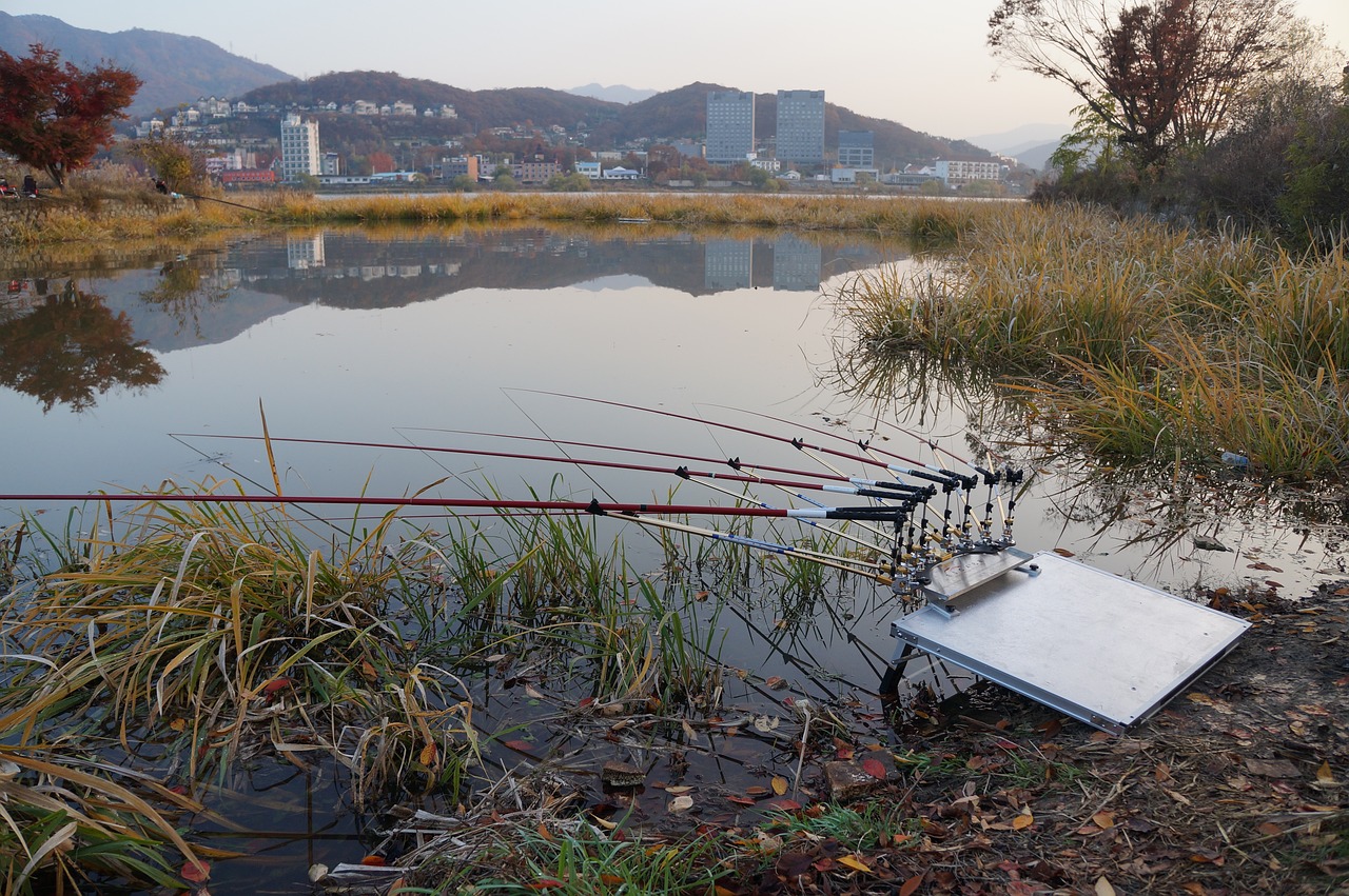 河里的紅鯉魚能釣嗎（野釣釣到紅鯉魚有哪些說法） 垂釣樂園 第2張