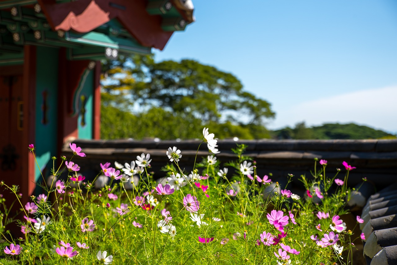 松皮石魚(yú)缸造景教程（松花石魚(yú)缸造景） 其他益生菌 第3張