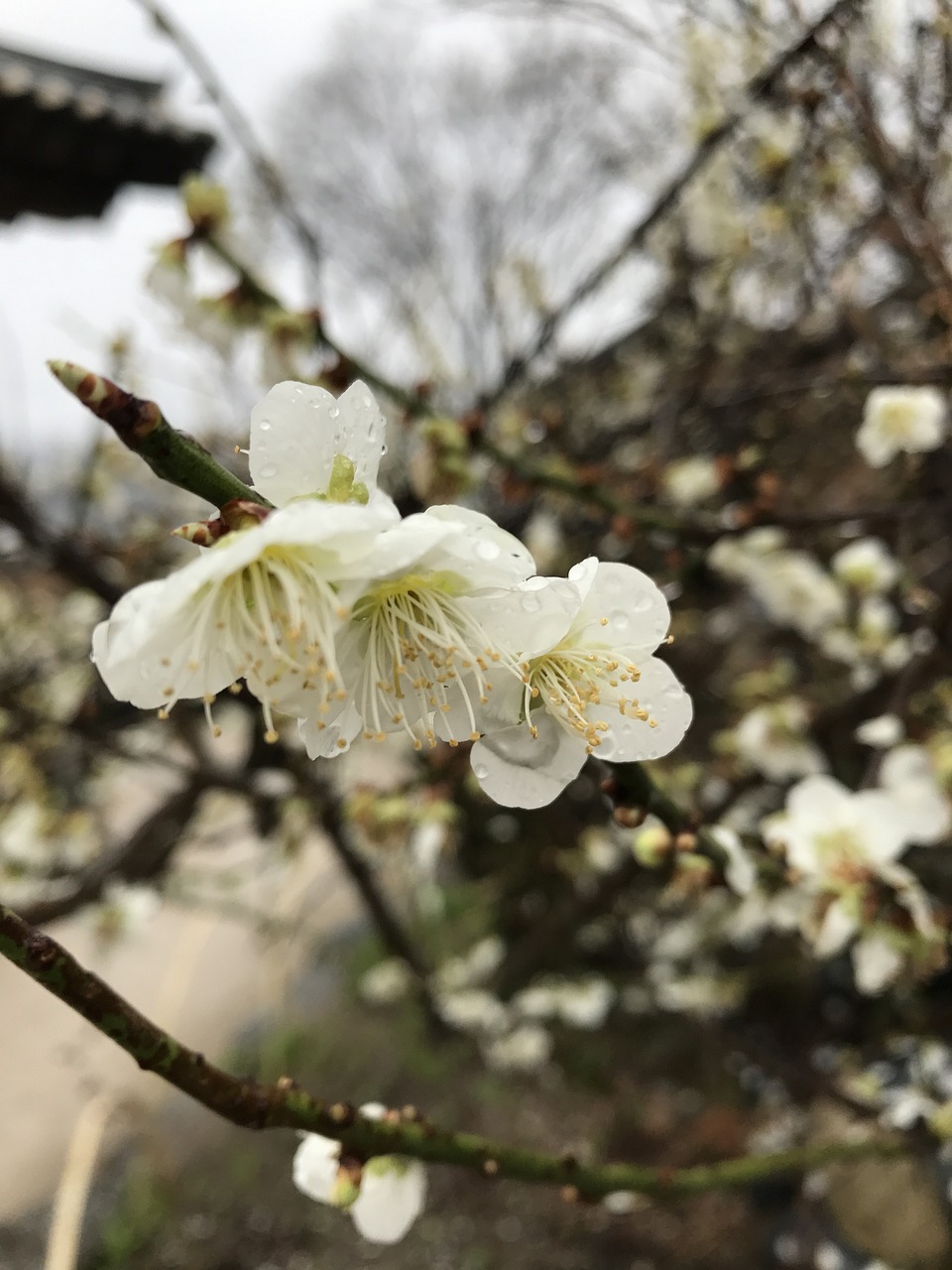 上饒縣花花世界（上饒花海） 全國水族館企業(yè)名錄 第1張