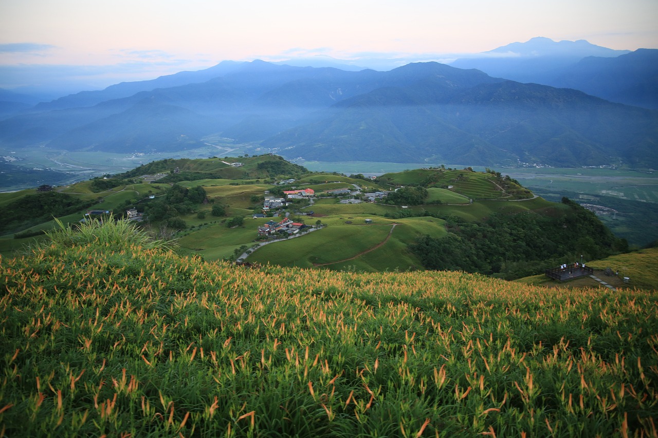 文登區(qū)小觀鎮(zhèn)四季花卉中心（文登區(qū)小觀鎮(zhèn)四季花卉中心地址） 全國水族館企業(yè)名錄 第3張