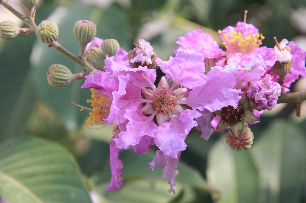 張北縣鳥(niǎo)魚(yú)花香花卉店（張北縣鳥(niǎo)魚(yú)花香花卉店電話）