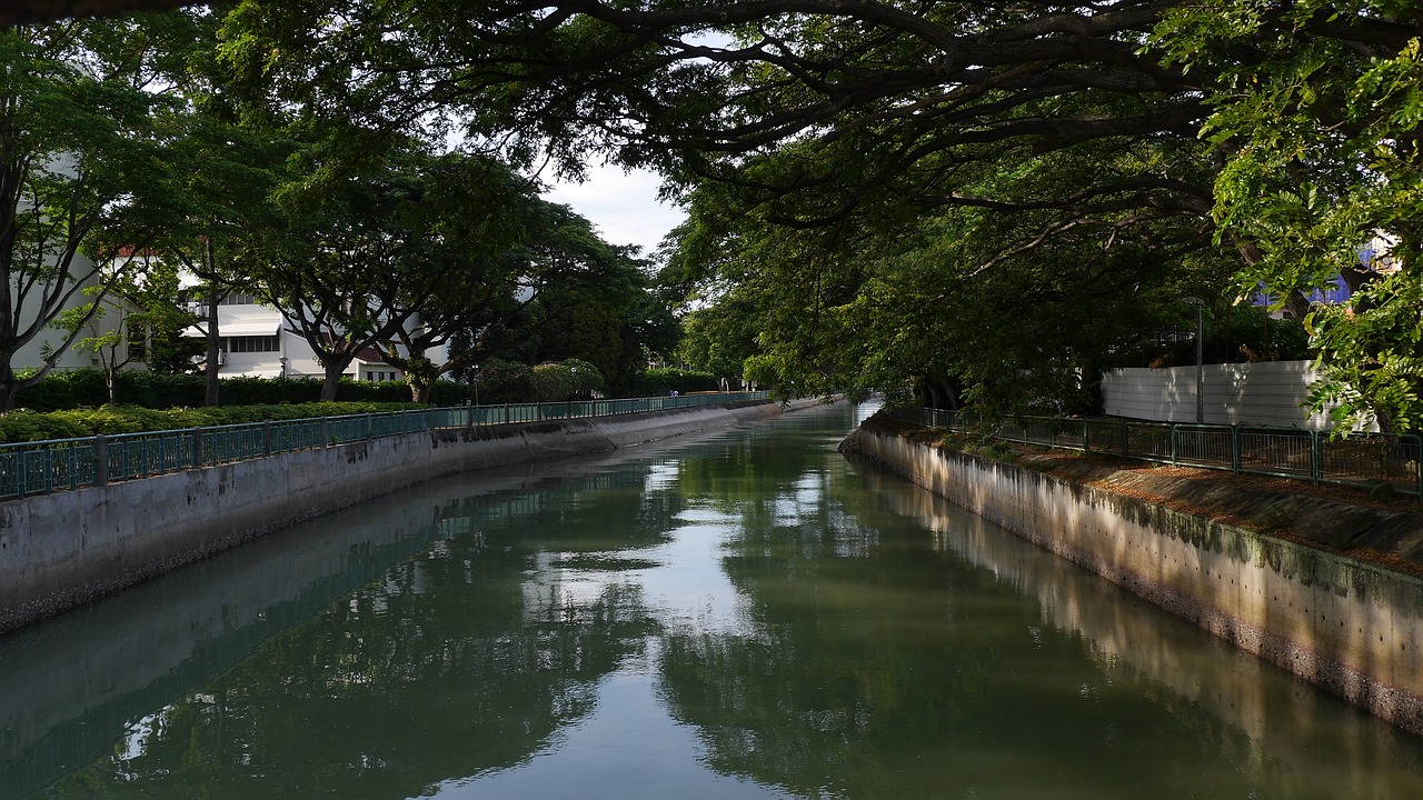 宜賓市翠屏區(qū)老曾金魚樂園（宜賓市翠屏區(qū)老曾金魚樂園地址） 全國水族館企業(yè)名錄 第2張