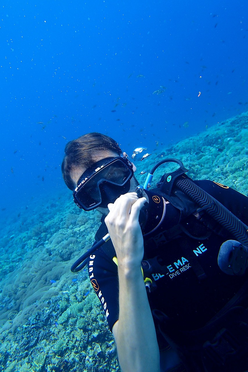 水族箱和普通魚(yú)缸的區(qū)別在哪里（水族箱是） 魚(yú)缸/水族箱 第2張