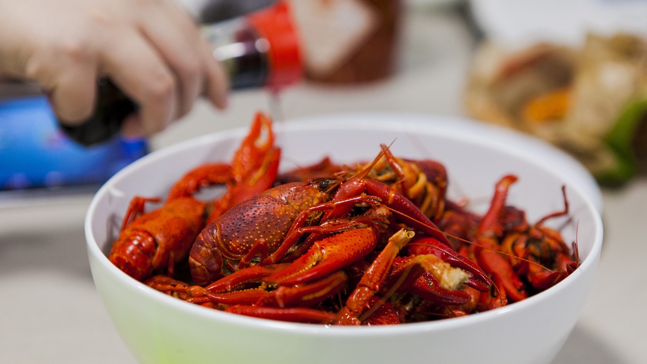 武漢市硚口區(qū)小龍觀賞魚商店（武漢漢口小龍蝦） 全國(guó)水族館企業(yè)名錄 第4張