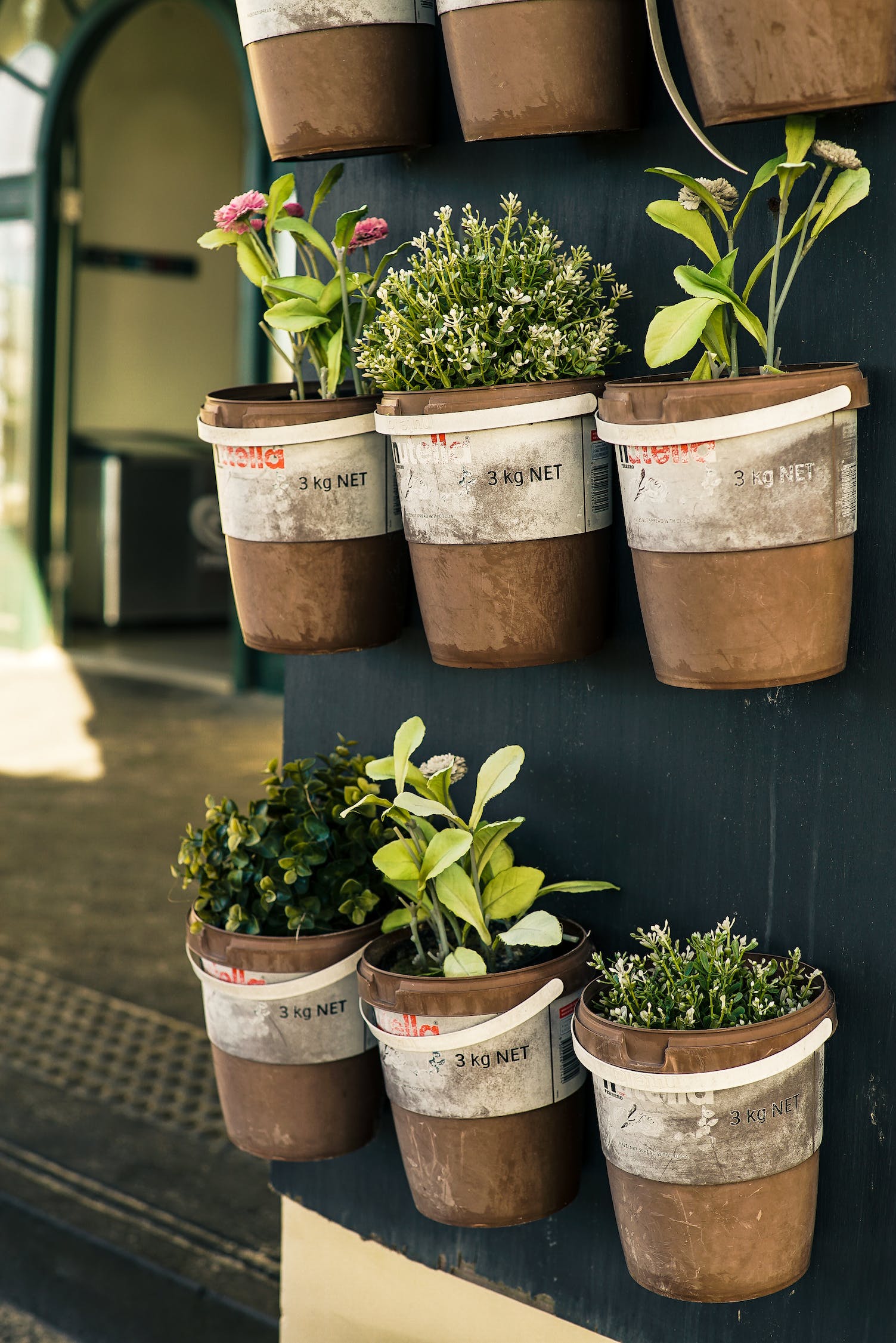 韓城市新城區(qū)植彩坊花卉中心（韓城市新城區(qū)植彩坊花卉中心電話） 全國水族館企業(yè)名錄 第4張