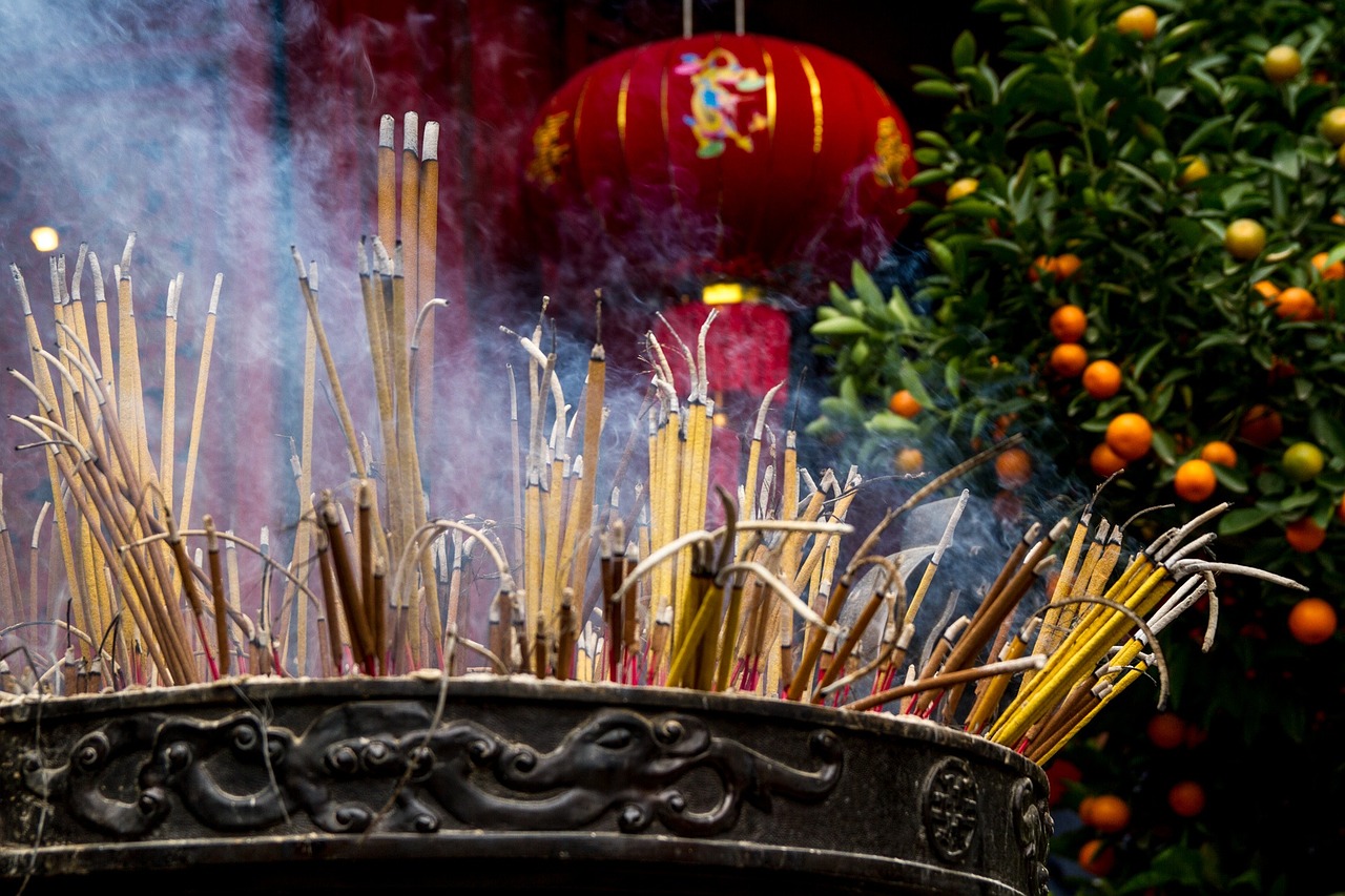 饑荒海象有什么用饑荒海象牙代碼《饑荒》小海象的作用，《饑荒》小海象一定要打死嗎？ 非洲象鼻魚 第2張