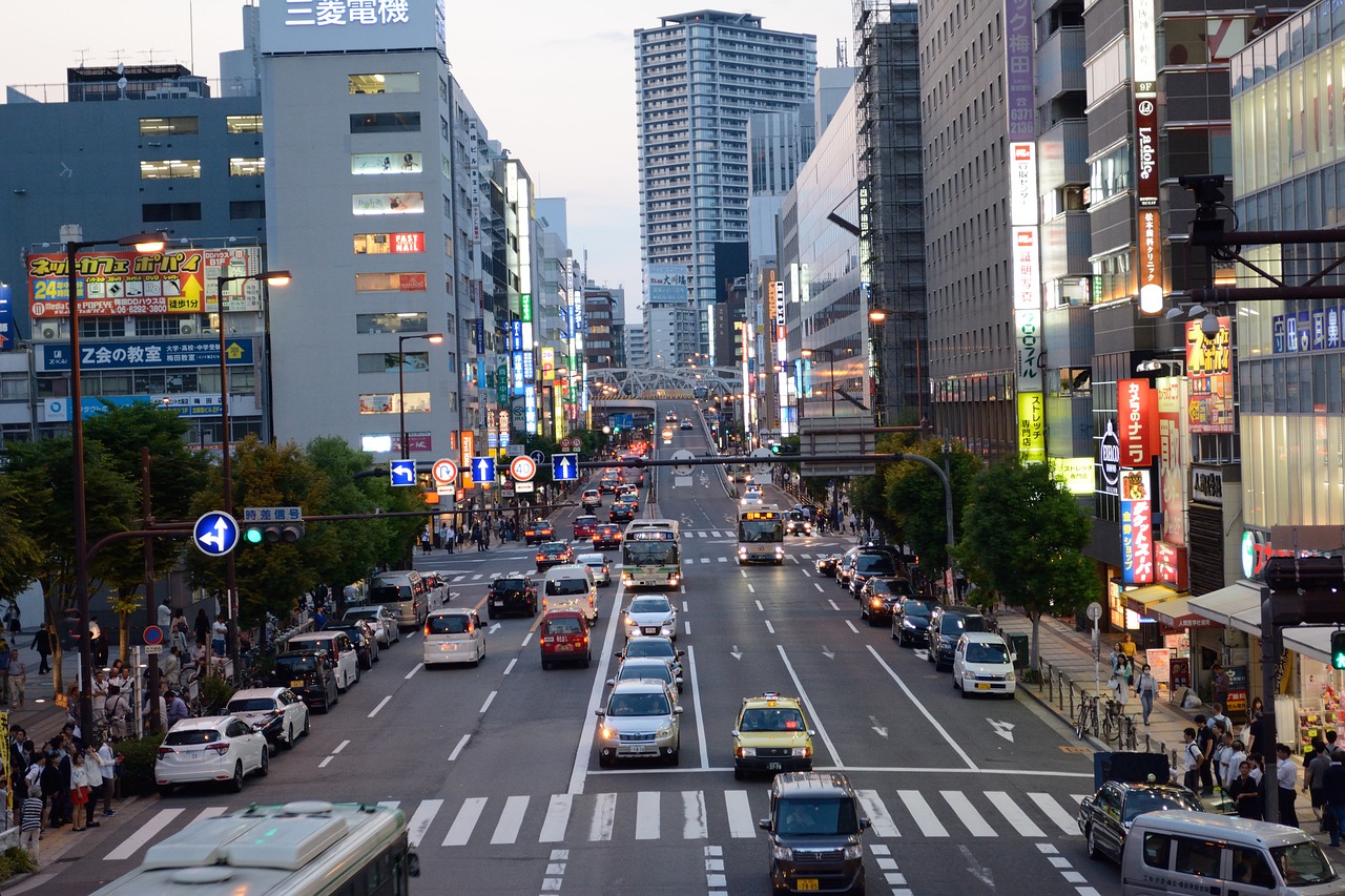 雞西市雞冠區(qū)龍晟花卉店（雞西市雞冠區(qū)龍晟花卉店地址） 全國水族館企業(yè)名錄 第3張