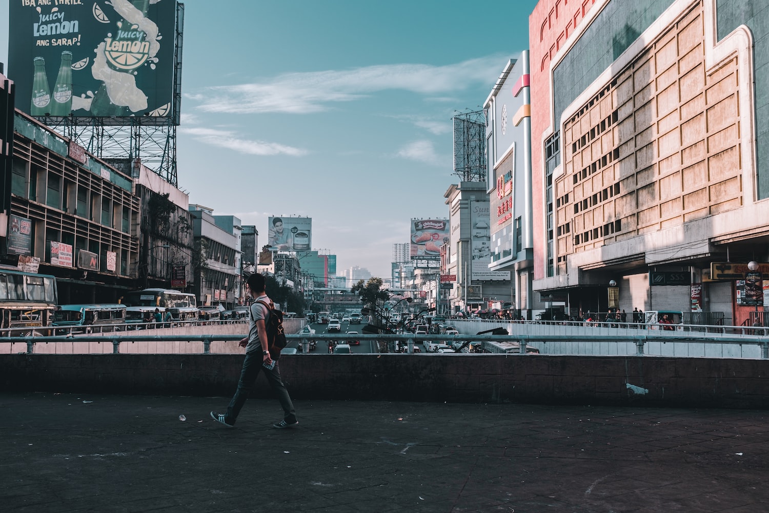 雞西市雞冠區(qū)龍晟花卉店（雞西市雞冠區(qū)龍晟花卉店地址） 全國水族館企業(yè)名錄 第5張