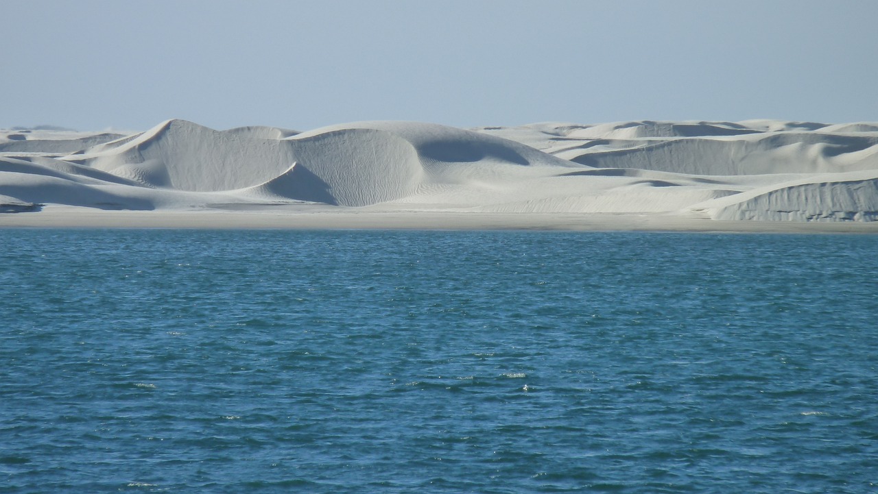 海南海水觀賞魚養(yǎng)殖場(chǎng)地（海南海水觀賞魚養(yǎng)殖場(chǎng)地址） 鸚鵡魚 第2張