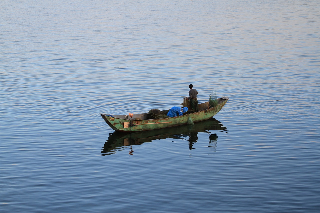 濰坊觀賞魚(yú)漁場(chǎng)地址電話(huà)（濰坊水族魚(yú)批發(fā)市場(chǎng)）