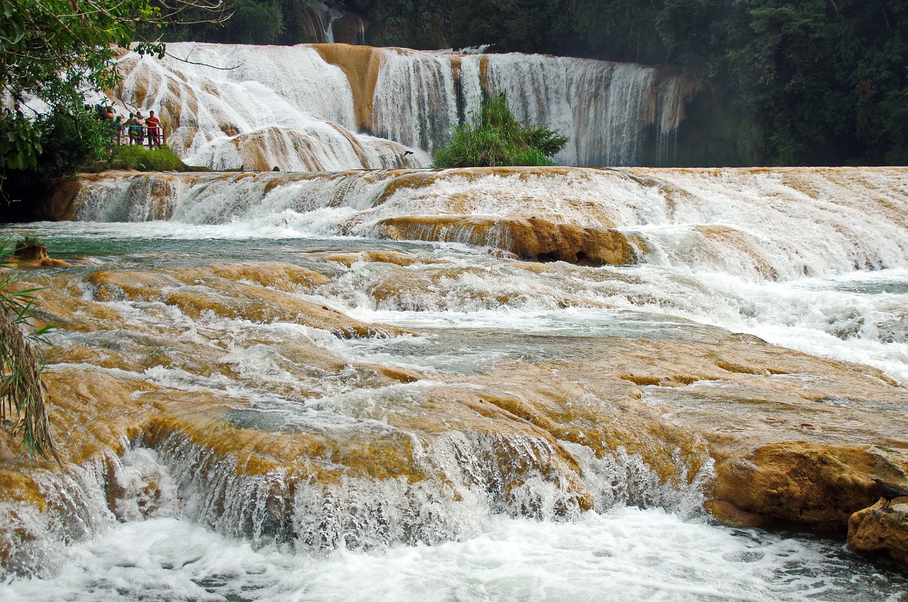 山水魚(yú)缸盆景圖片大全欣賞（魚(yú)缸山水布景效果圖） 廣州龍魚(yú)批發(fā)市場(chǎng) 第1張