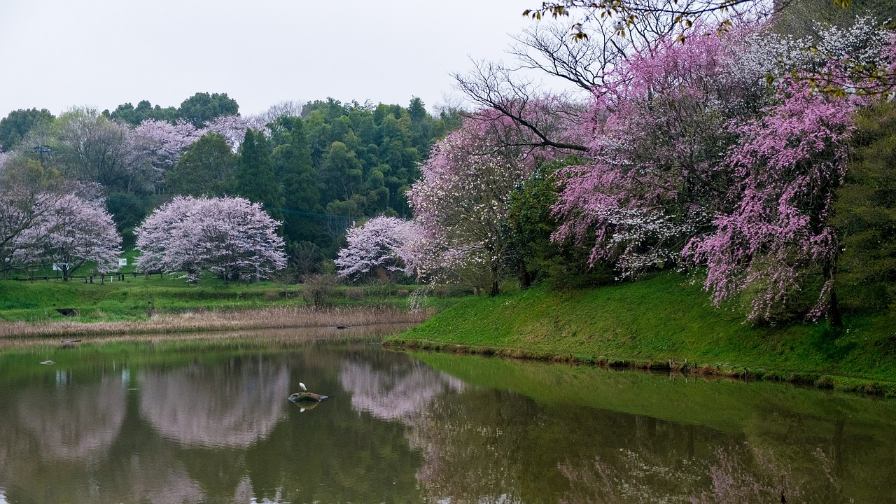 1米5魚缸造景方案（一米五的魚缸裸缸還是造景）