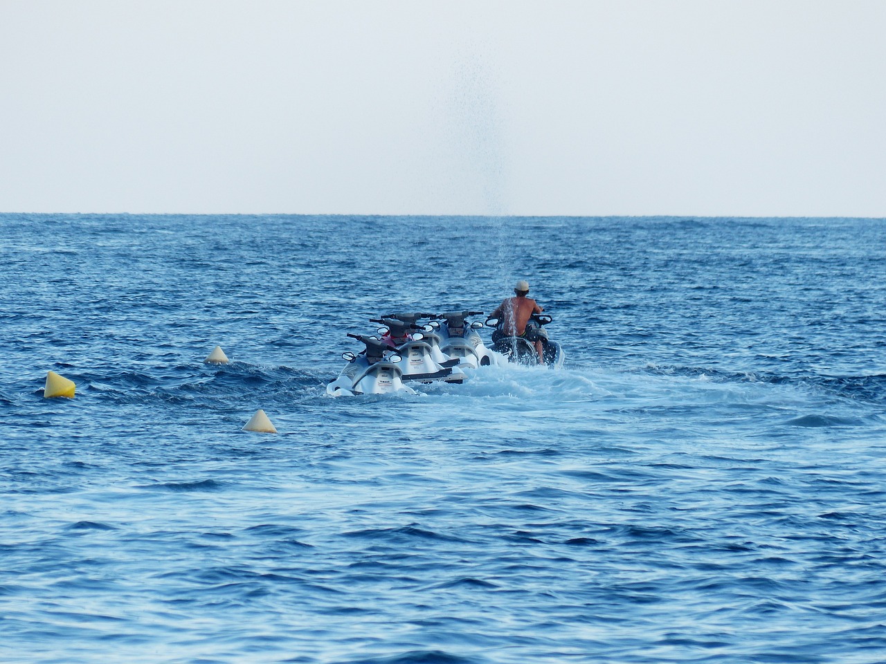 觀賞魚圖片大全集視頻下載觀賞魚圖片大全集視頻下載，互動的觀賞魚圖片大全集 祥龍龍魚專用水族燈 第1張