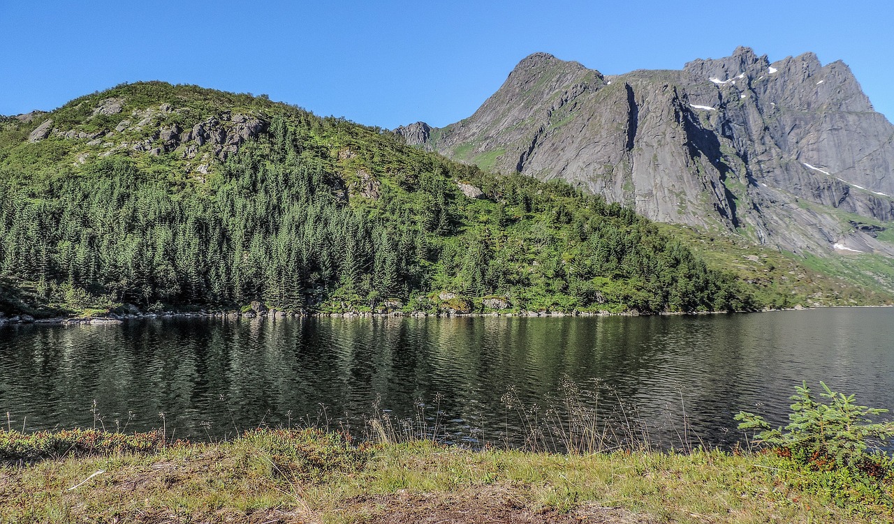 龍虎山風(fēng)景區(qū)旅游攻略龍虎山旅游攻略 野彩魚 第1張