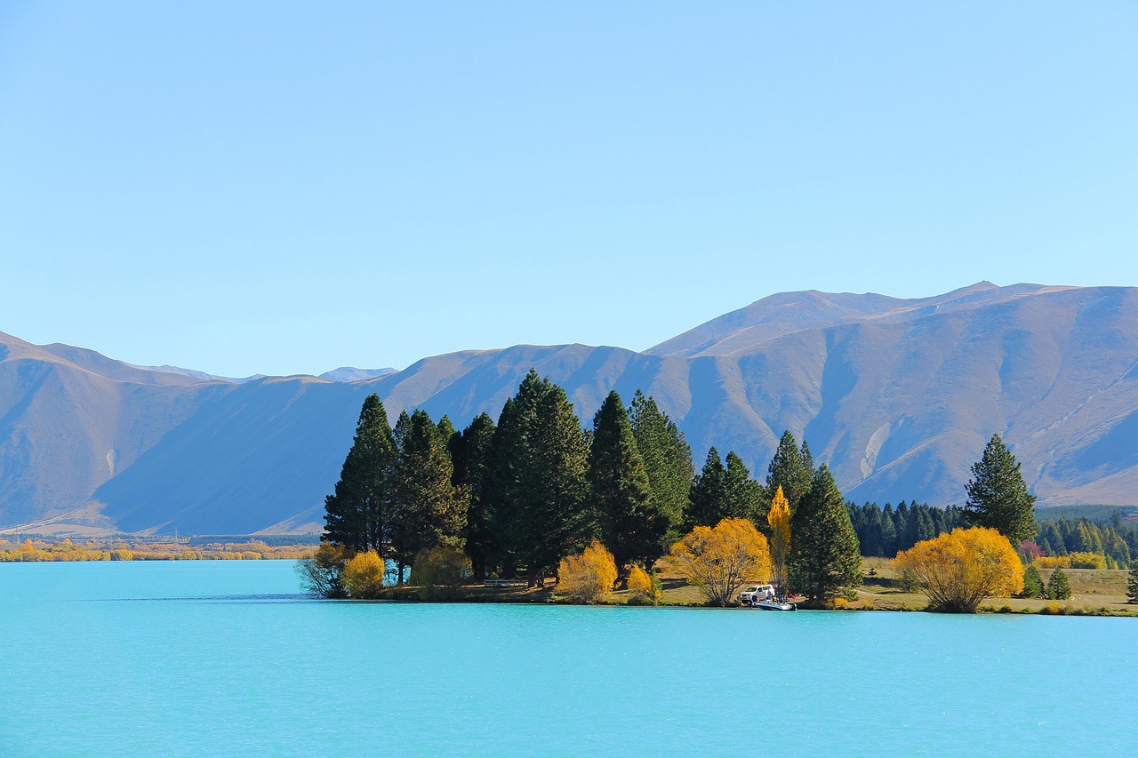 龍虎山風(fēng)景區(qū)旅游攻略龍虎山旅游攻略 野彩魚 第3張