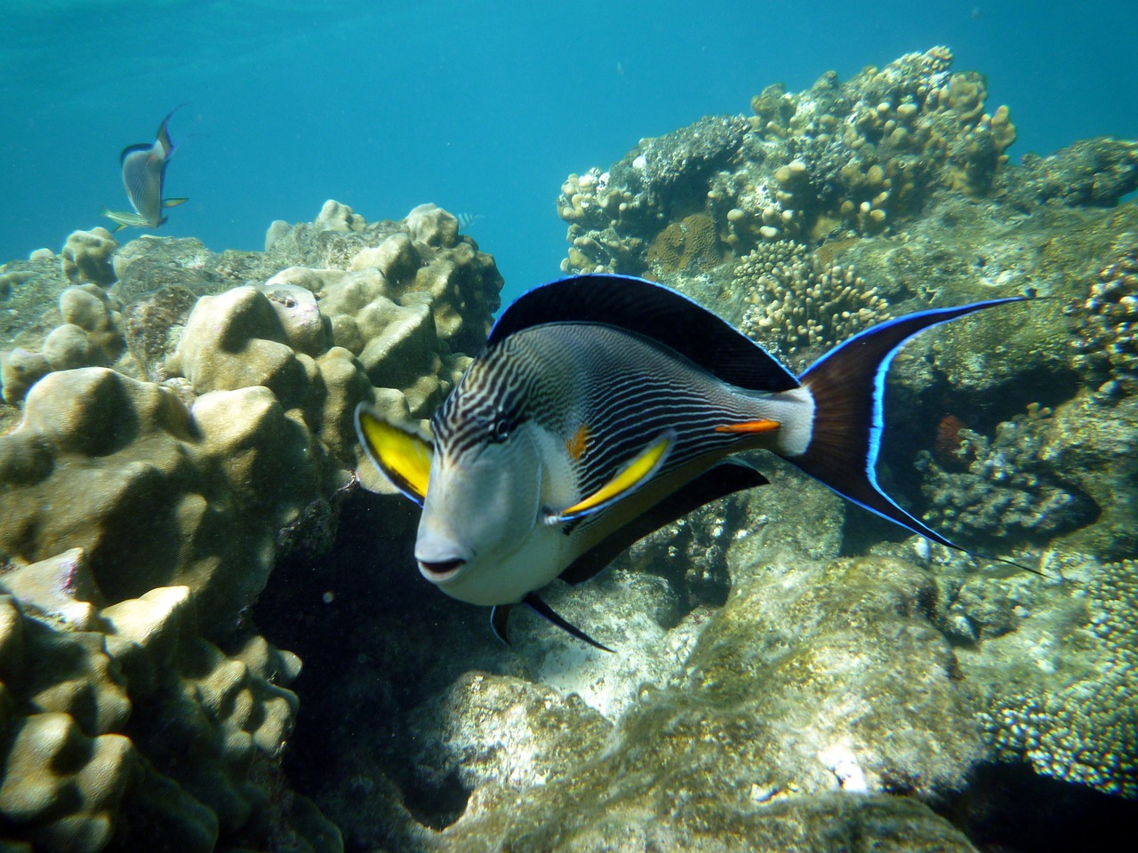 東莞市虎門碧海水族館，讓人流連忘返的海洋世界