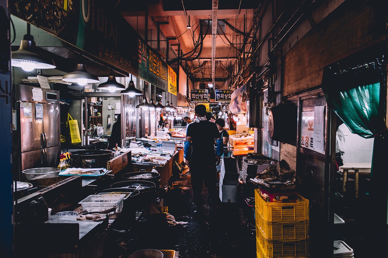 烏魯木齊最大觀賞魚市場在哪兒？ 觀賞魚市場（混養(yǎng)魚） 第1張