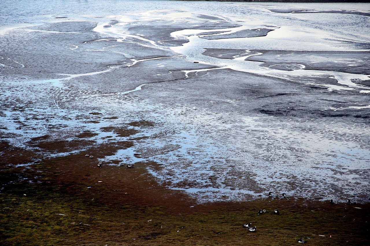 景德鎮(zhèn)魚缸造景石頭景觀（景德鎮(zhèn)陶瓷魚缸圖片和價格） 祥龍魚場品牌產(chǎn)品 第5張